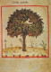 TREES Vintage Postcard CPSM #PBZ994.A - Trees