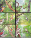 Sri Lanka - 2021 - Endemic Birds  - 6 Miniature Sheet And 1 Complete Set Of Stamps - MNH. ( CP-255) ( OL 14/04/2022 ) - Sri Lanka (Ceylan) (1948-...)