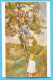 Pro Juventutekarte Nr. 120 - Der Apfelbaum Ohne Adresseindruck - Brieven En Documenten