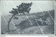 Bq153 Cartolina Fotografica Varazze 1919 Provincia Di Savona - Savona