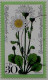 Berlin Poste Obl Yv:518/521 Bienfaisance Fleurs Des Près (cachet Rond) - Usati