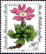 Berlin Poste N** Yv:664/667 Bienfaisance Fleurs Des Alpes - Unused Stamps