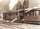 74 - CHAMONIX - Dernier Train Spécial à Vapeur En Gare Du Montenvers à Chamonix Le 20.09.1981 - Gde Photo 17,5 X 24 Cm - Lieux