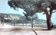 06 - Alpes Maritimes - NICE - Boulevard De L Imperatrice De Russie - Andere & Zonder Classificatie