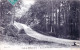 72 - Sarthe - Foret De PERSEIGNE - Route De Villaines A Neuchatel - Altri & Non Classificati