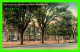 WILLIAMSBURG, VA - DUKE OF GLOUCESTER STREET, BUSINESS SECTION - C.T. ART COLORTONE - - Autres & Non Classés