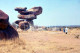 10 SLIDES SET 1964 RODHESIA SALISBURY HARARE ZIMBABWE AFRICA AFRIQUE AMATEUR 35mm SLIDE NOT PHOTO FOTO Nb4121 - Diapositives (slides)