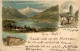 Gruss Aus Zell Am See - Litho - Zell Am See