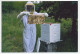 Postal Stationery China 2009 Bee - Honeycomb - Beekeeper - Sonstige & Ohne Zuordnung