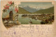 Gruss Aus Zell Am See - Litho - Zell Am See