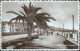 Cs437 Cartolina Messina Citta' Palmeti Lungomare 1941 Lombardia - Messina