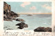 R332450 Sea Shore. S. Nelmes. 1903 - Monde