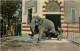 Basel - Zoologischer Garten - Elephant - Altri & Non Classificati