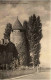 La Tour De Peilz, Le Chateau - Autres & Non Classés