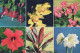 FLOWERS Vintage Ansichtskarte Postkarte CPSM #PBZ323.DE - Fleurs