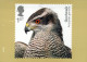 VOGEL Tier Vintage Ansichtskarte Postkarte CPSM #PBR684.DE - Vögel