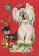 HUND Tier Vintage Ansichtskarte Postkarte CPSM #PBQ578.DE - Cani