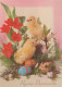 OSTERN HUHN EI Vintage Ansichtskarte Postkarte CPSM #PBP232.DE - Pasqua