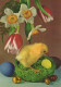 OSTERN HUHN EI Vintage Ansichtskarte Postkarte CPSM #PBP110.DE - Easter