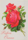 FLOWERS Vintage Ansichtskarte Postkarte CPSM #PAS096.DE - Flowers