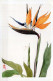 FLOWERS Vintage Ansichtskarte Postkarte CPSM #PAR375.DE - Flowers