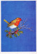 VOGEL Tier Vintage Ansichtskarte Postkarte CPSM #PAN054.DE - Vögel