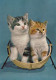 KATZE MIEZEKATZE Tier Vintage Ansichtskarte Postkarte CPSM #PAM616.DE - Cats