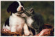 HUND UND KATZETier Vintage Ansichtskarte Postkarte CPSM #PAM052.DE - Hunde