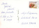 FLORES Vintage Tarjeta Postal CPSM #PBZ865.ES - Fleurs