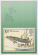 PESCADO Animales Vintage Tarjeta Postal CPSM #PBS867.ES - Fish & Shellfish