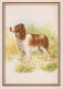 PERRO Animales Vintage Tarjeta Postal CPSM #PBQ374.ES - Honden