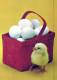 PASCUA POLLO HUEVO Vintage Tarjeta Postal CPSM #PBP169.ES - Easter