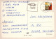 PÁJARO Animales Vintage Tarjeta Postal CPSM #PAN296.ES - Vögel