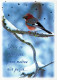 PÁJARO Animales Vintage Tarjeta Postal CPSM #PAN052.ES - Birds
