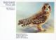 PÁJARO Animales Vintage Tarjeta Postal CPSM #PAN112.ES - Uccelli