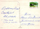 FLEURS Vintage Carte Postale CPSM #PBZ804.FR - Fiori