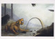 TIGRE Animaux Vintage Carte Postale CPSM #PBS031.FR - Tijgers