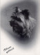CHIEN Animaux Vintage Carte Postale CPSM #PBQ375.FR - Hunde