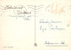 FLEURS Vintage Carte Postale CPSM #PAS578.FR - Blumen