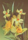 FLEURS Vintage Carte Postale CPSM #PAR434.FR - Flowers