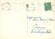 FLEURS Vintage Carte Postale CPSM #PAR072.FR - Fiori