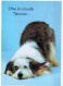 CHIEN Animaux Vintage Carte Postale CPSM #PAN423.FR - Honden