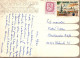 OISEAU Animaux Vintage Carte Postale CPSM #PAN297.FR - Vogels