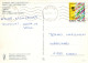OISEAU Animaux Vintage Carte Postale CPSM #PAN174.FR - Vogels