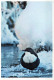 OISEAU Animaux Vintage Carte Postale CPSM #PAM679.FR - Vögel