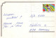 CHAT CHAT Animaux Vintage Carte Postale CPSM #PAM113.FR - Katzen