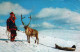 Happy New Year Christmas DEER Vintage Postcard CPA #PKE043.GB - Nouvel An