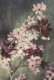 FLOWERS Vintage Postcard CPSM #PBZ200.GB - Flowers