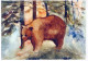 BEAR Animals Vintage Postcard CPSM #PBS341.GB - Bären