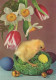 EASTER CHICKEN EGG Vintage Postcard CPSM #PBP107.GB - Pasen